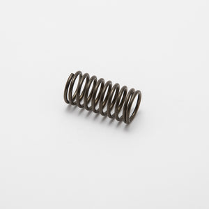 Oil Filter Spring