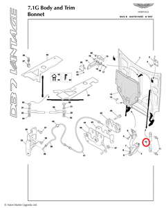 Bonnet Gas Strut