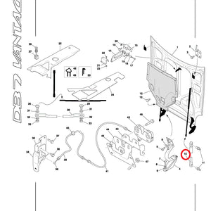 Bonnet Gas Strut