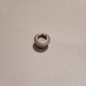 Magnetic Drain Plug