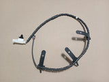 Rear Brake Pad Wear Lead