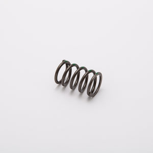 Valve Spring